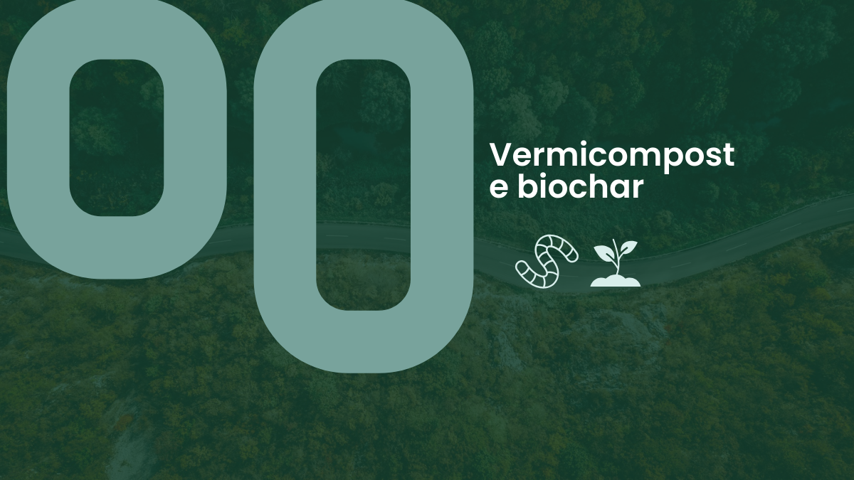 Suolo vivo: preservare la biodiversità del terreno con vermicompostaggio e biochar